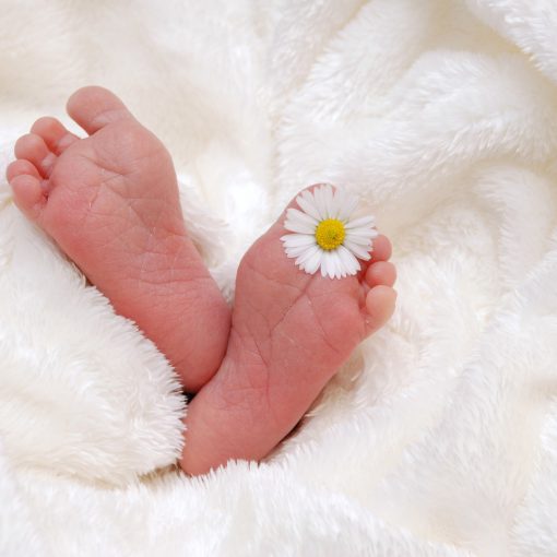 Procédure Naissance Décés Mariages Nersac